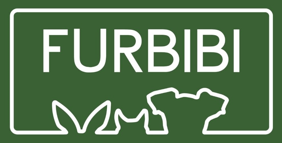 Furbibi Pet Boarding & Day Care